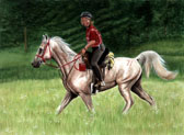 Arabian Equine art - Endurance Racing